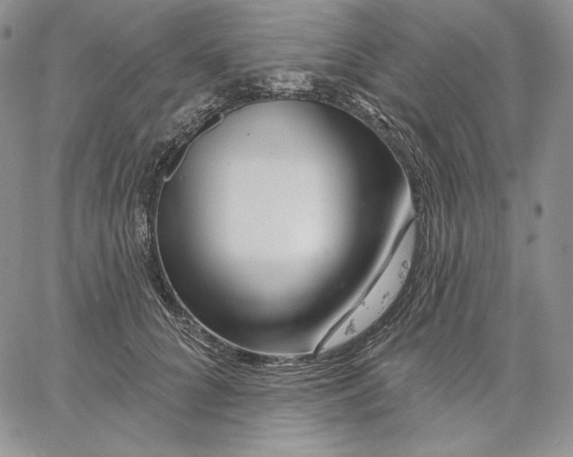 X0000060580704200511241341