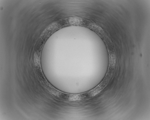 X0000060580705200511241341