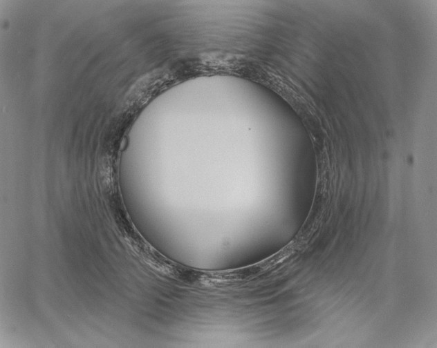 X0000060580706200511241341