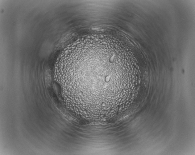 X0000060580707200511241341