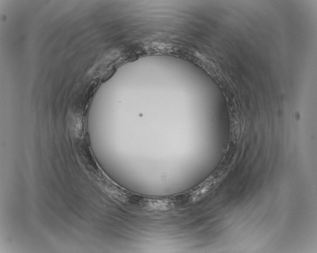 X0000060580709200511241341