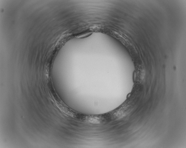 X0000060580710200511241341