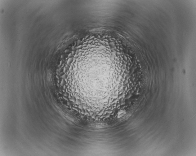 X0000060580711200511241341