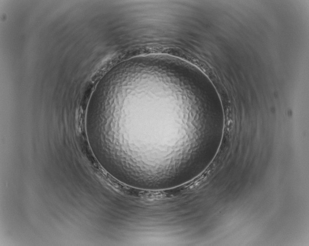 X0000060580712200511241341