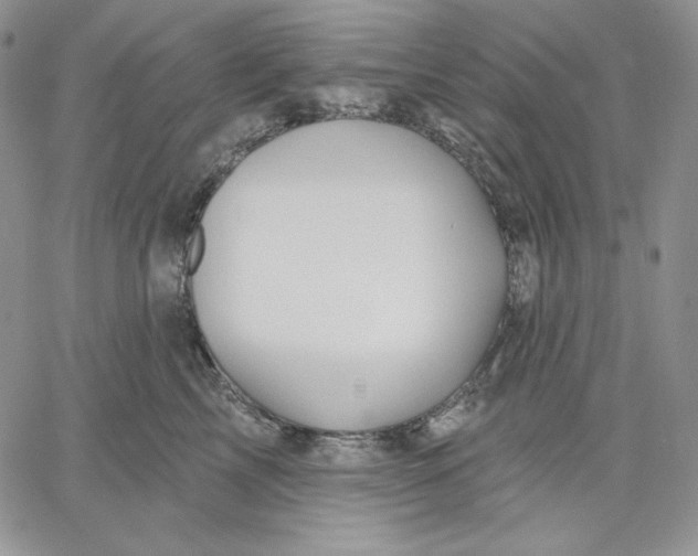 X0000060580713200511241341