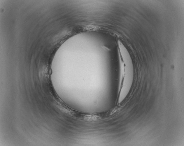 X0000060580714200511241341