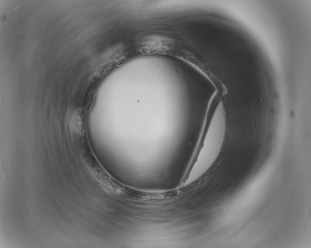 X0000060580715200511241341