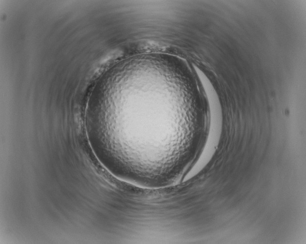 X0000060580716200511241341