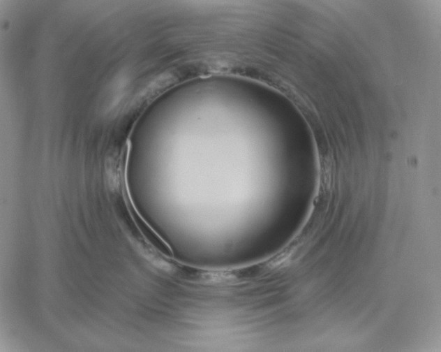 X0000060580719200511241341