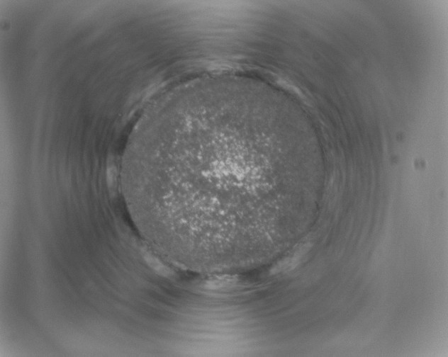 X0000060580720200511241341