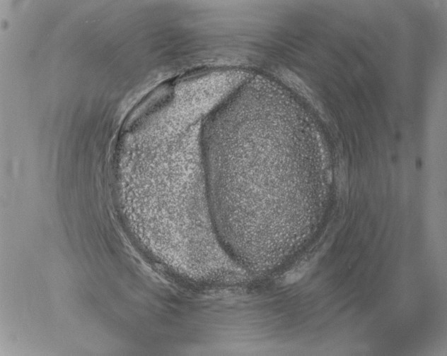 X0000060580721200511241340