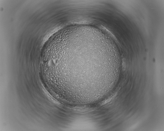 X0000060580725200511241340