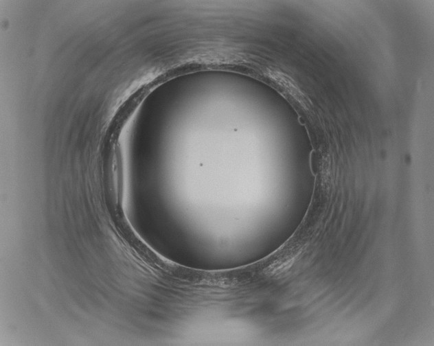 X0000060580727200511241340