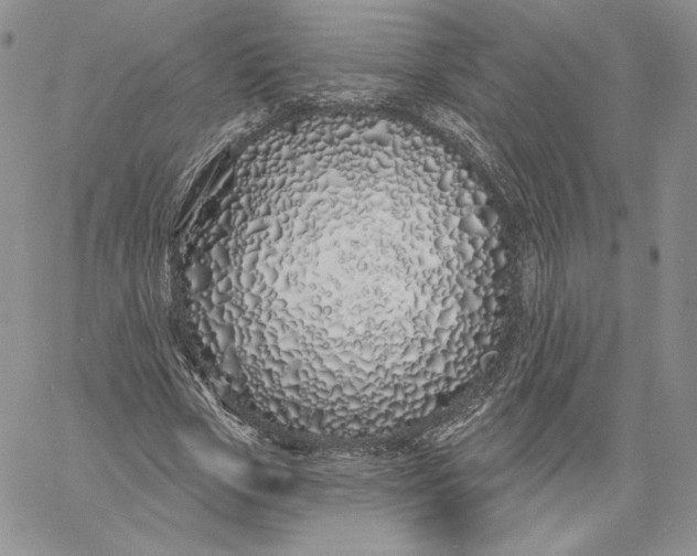 X0000060580729200511241340