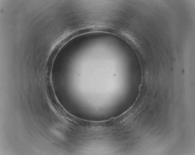 X0000060580730200511241340