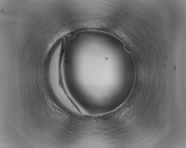 X0000060580731200511241340