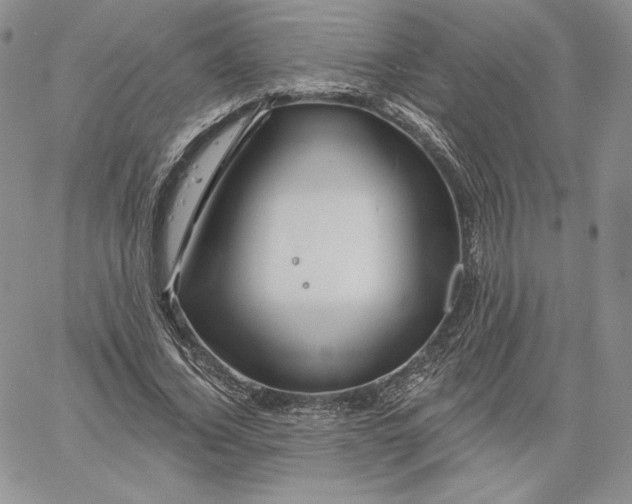 X0000060580732200511241340