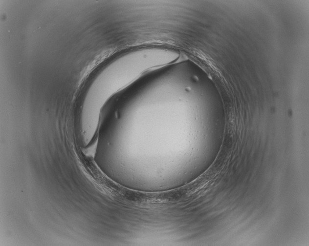 X0000060580734200511241340