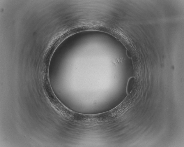 X0000060580736200511241340