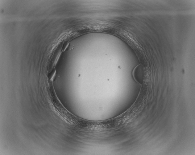 X0000060580738200511241340