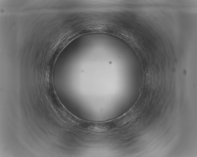 X0000060580739200511241340