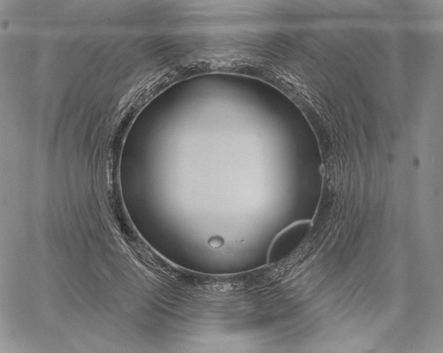 X0000060580740200511241341