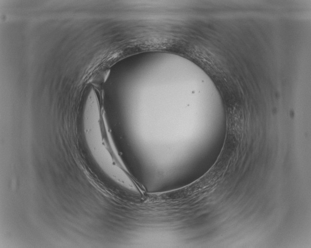 X0000060580742200511241341