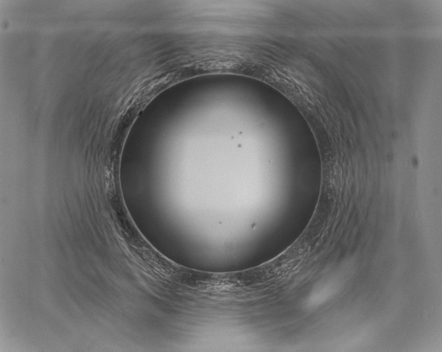 X0000060580743200511241341