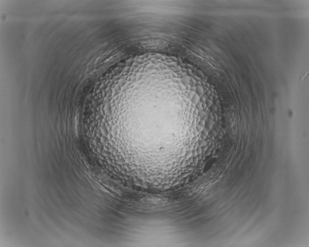 X0000060580745200511241341