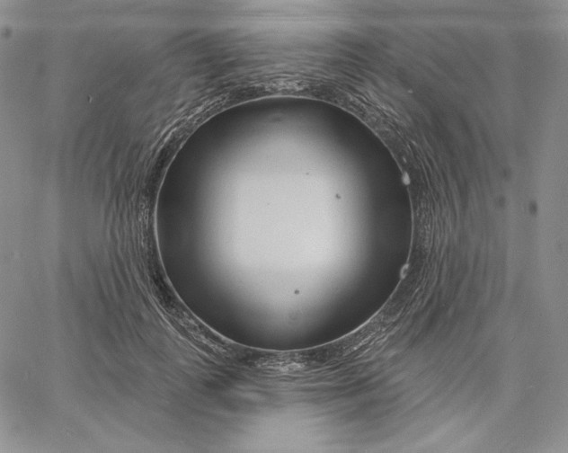 X0000060580747200511241341