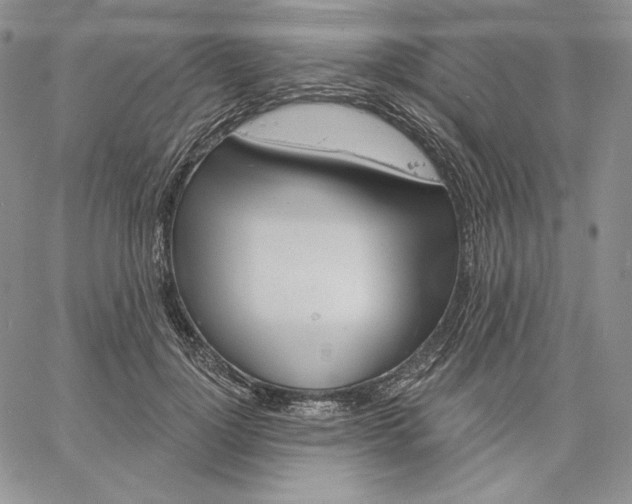 X0000060580748200511241341