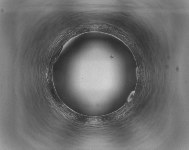 X0000060580750200511241341