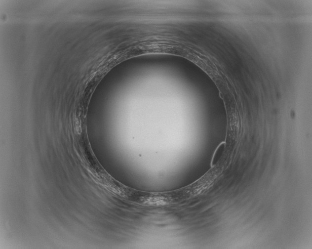 X0000060580751200511241341