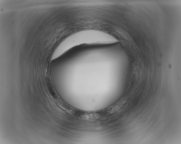 X0000060580752200511241341