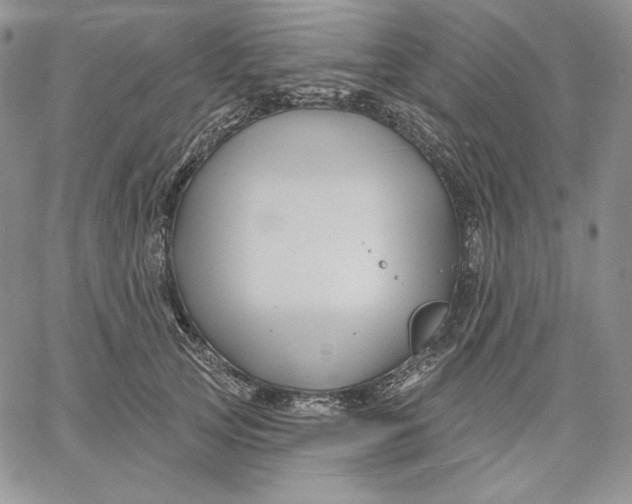 X0000060580753200511241341