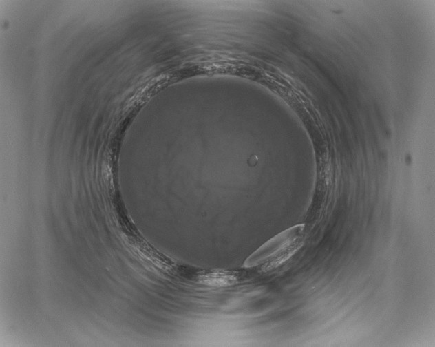 X0000060580754200511241341