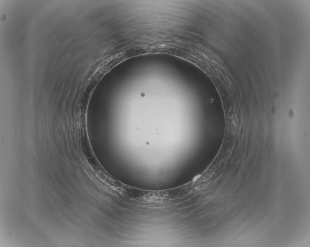 X0000060580756200511241341