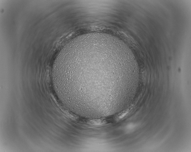 X0000060580757200511241341