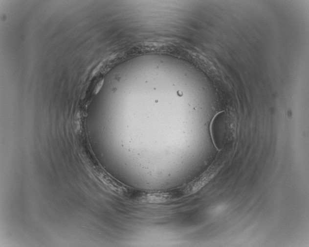 X0000060580758200511241341