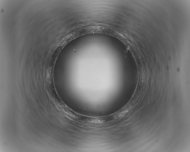 X0000060580759200511241341