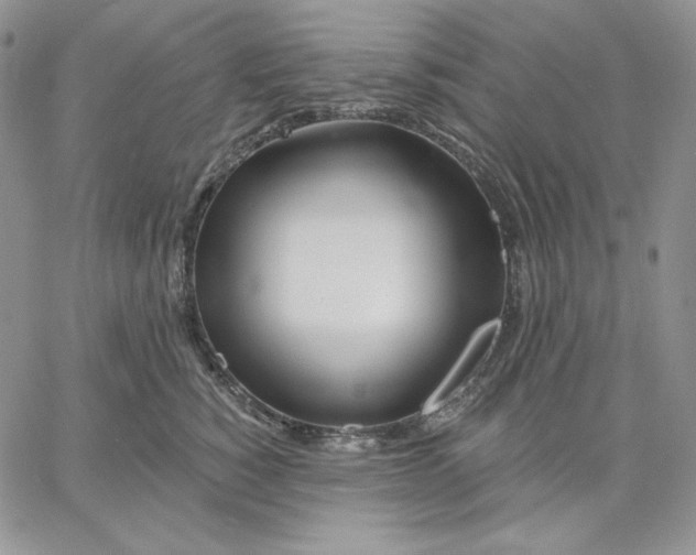 X0000060580760200511241341