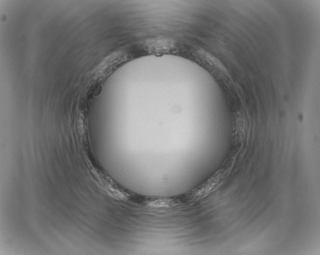 X0000060580761200511241341