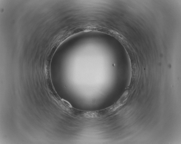 X0000060580762200511241341