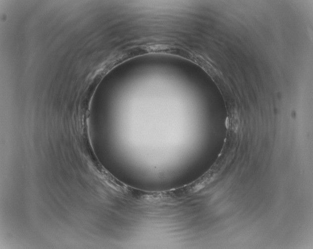 X0000060580763200511241341