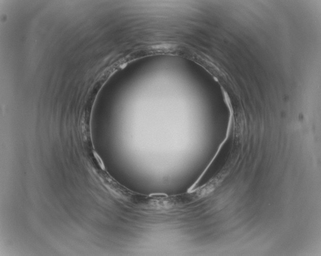 X0000060580764200511241341