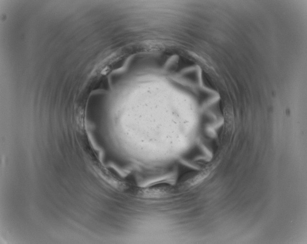 X0000060580766200511241341