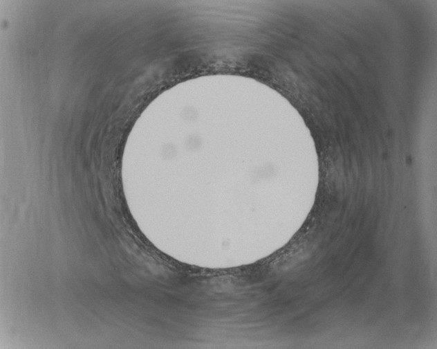 X0000060580769200511241340