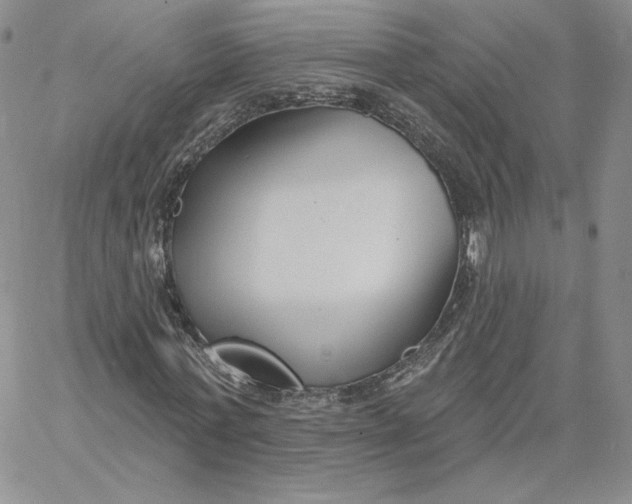 X0000060580771200511241340