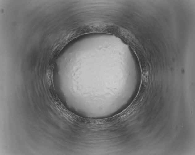 X0000060580772200511241340