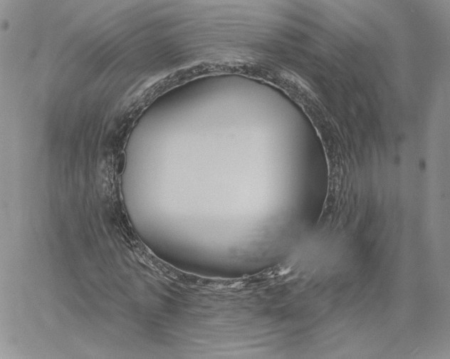 X0000060580773200511241340